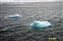 The blue of the icebergs was striking
