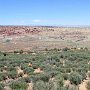 Arches National Park - Salt Valley