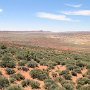 Arches National Park - Salt Valley