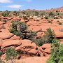 Arches National Park - Red Mushrooms