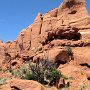 Arches National Park