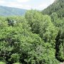 Aspen - Holden/Marolt Mining & Ranching Museum