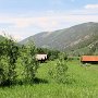 Aspen - Ashcroft Ghost Town