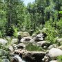 Aspen - John Denver Sanctuary