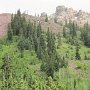 Aspen - Maroon Bells