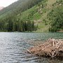 Aspen - Maroon Bells - Beaver Den