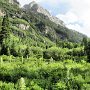 Aspen - Maroon Bells