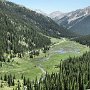 Aspen - Independence Pass