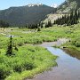 Aspen - Independence Pass - Beaver Ponds