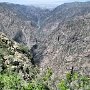 Black Canyon of the Gunnison NP