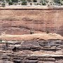 Colorado NM - Upper Ute Canyon - Egyptian Mummy