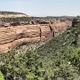 Colorado NM - Upper Ute Canyon