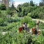 Denver Botanic Gardens