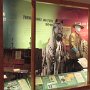 Buffalo Bill Museum & Gravesite
