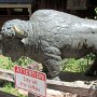 Buffalo Bill Museum & Gravesite