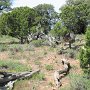 Dinosaur NM - Canyon Area