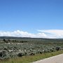 Dinosaur NM - Canyon Area - Sheep Herd