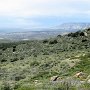 Dinosaur NM - Canyon Area - Escalante View