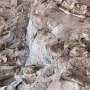 Dinosaur NM - Quarry Area - Fossil Wall