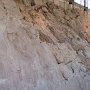 Dinosaur NM - Quarry Area - Fossil Wall