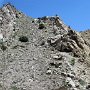 Dinosaur NM - Quarry Area - Fossil Trail