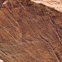 Dinosaur NM - Quarry Area - Auto Tour - Petroglyphs