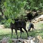 Manitou Springs - Cave of the Winds