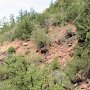 Tonto Natural Bridge SP