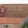 Petrified Forest NP