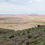 Petrified Forest NP