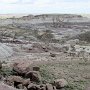 Petrified Forest NP - Jasper Forest