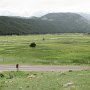 Rocky Mountain NP - Moraine Meadow