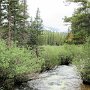 Rocky Mountain NP