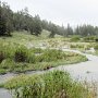 Rocky Mountain NP - Beaver Ponds