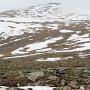 Rocky Mountain NP - Summit Tundra