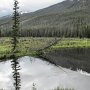 Rocky Mountain NP - Beaver Pond