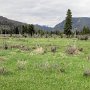 Rocky Mountain NP - Holzwarth Historic Site