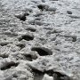 Selfoss - Semi-frozen Trail