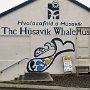 Husavik - Whale Museum