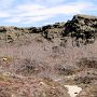 Myvatn - Dimmuborgir Lava Formations