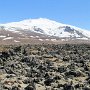 Snæfellsjökull N.P. - Lava Field Around Settlement Ruins