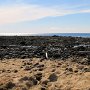 Snæfellsjökull N.P. - Settlement Ruins Beach