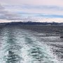 Ferry to Vestmannaeyjar - View Back to Port