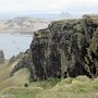 Dyrhólaey - Bird Cliffs