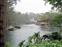 Jungle River Cruise dock