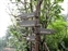 Directional signpost