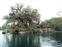 Jungle River Cruise Tarzan's Treehouse