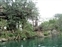 Jungle River Cruise view of treehouse
