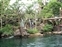 Jungle River Cruise Tarzan's island waterfall at raft dock