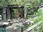 Jungle River Cruise Elephant God Temple